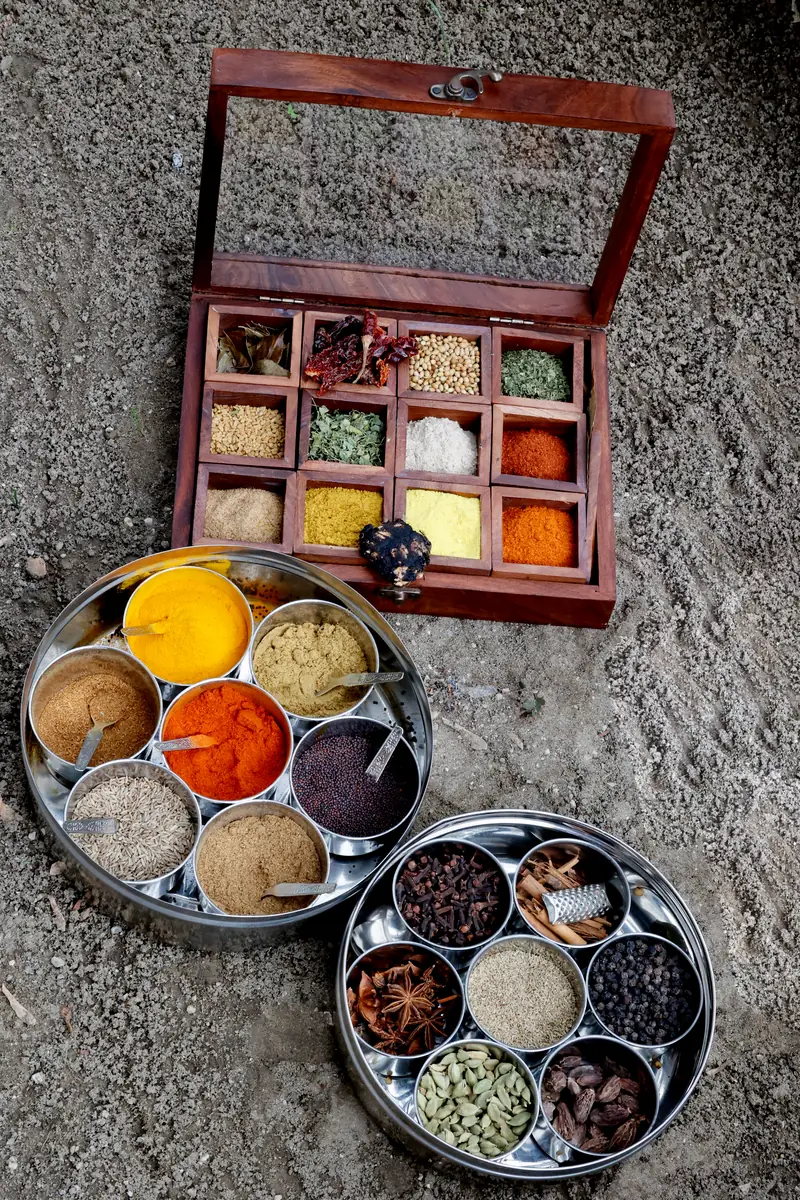 Spezie e ingredienti della cucina indiana assortiti